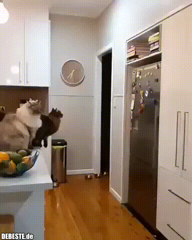 Endlich mit Profis..