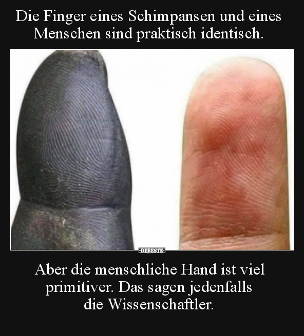 Die Finger eines Schimpansen und eines Menschen sind.. - Lustige Bilder | DEBESTE.de