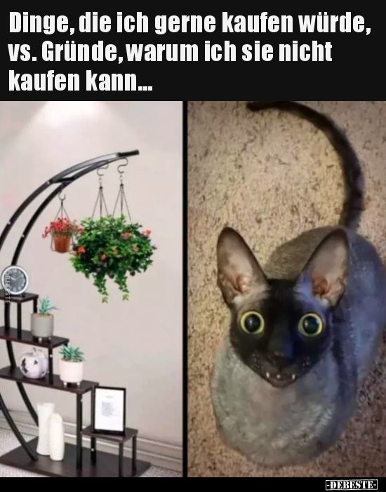 Dinge, die ich gerne kaufen würde, vs. Gründe, warum ich..