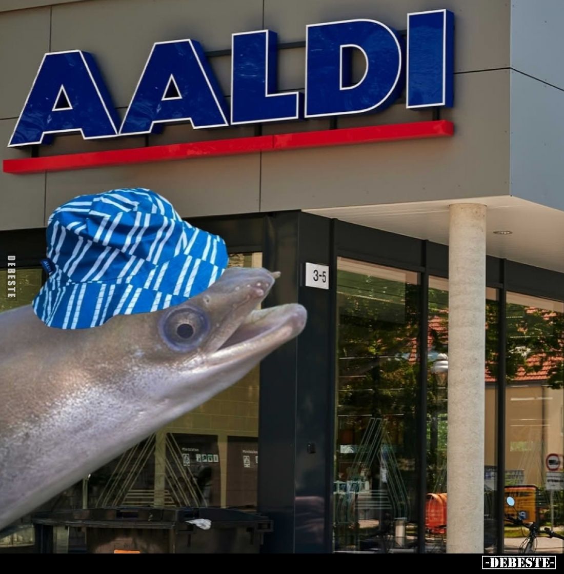 Aaldi