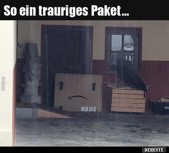 So ein trauriges Paket... - Lustige Bilder | DEBESTE.de