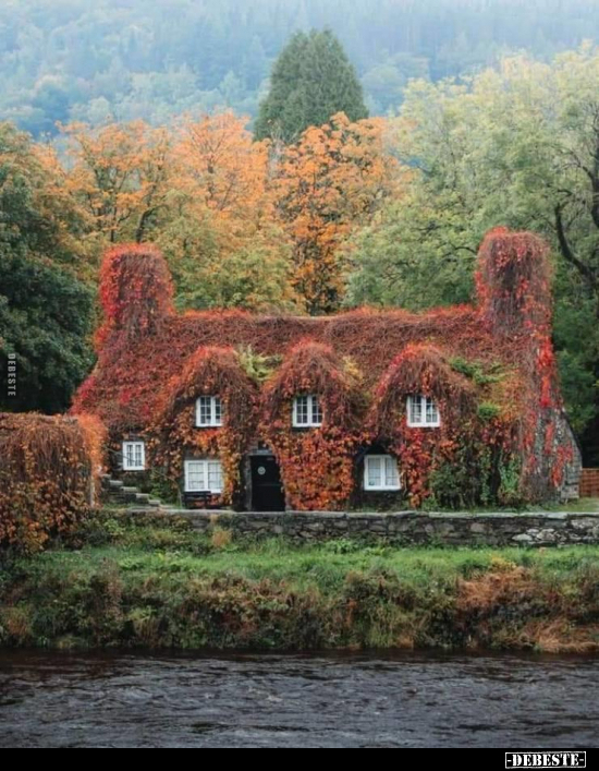  - Lustige Bilder | DEBESTE.de