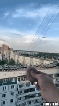 Majestätische Schönheit..