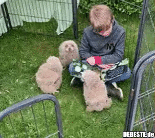 Liest bestimmt Harry Potter vor..