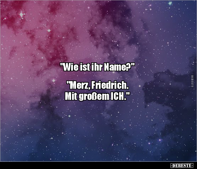 "Wie ist ihr Name?" "Merz, Friedrich. Mit großem.." - Lustige Bilder | DEBESTE.de