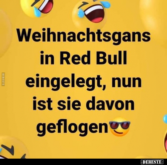 Weihnachtsgans in Red Bull eingelegt, nun ist sie davon.. - Lustige Bilder | DEBESTE.de