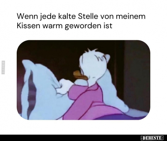 Wenn jede kalte Stelle von meinem Kissen.. - Lustige Bilder | DEBESTE.de