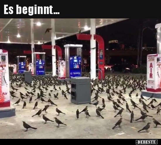 Es beginnt...