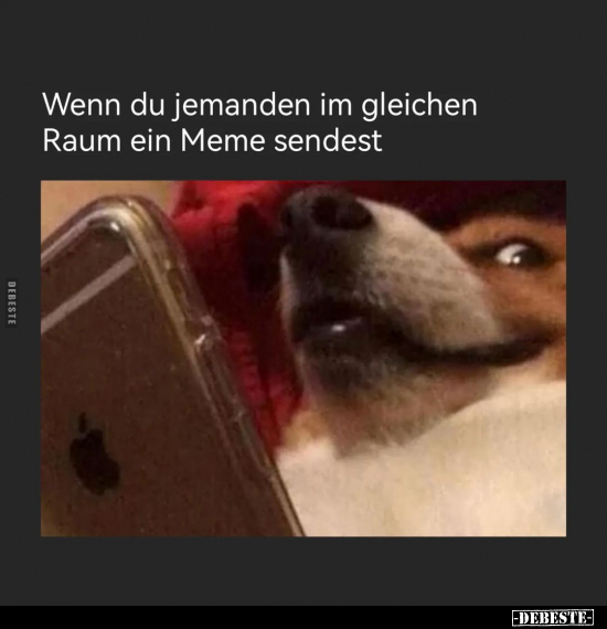 Wenn du jemanden im gleichen Raum ein Meme sendest.. - Lustige Bilder | DEBESTE.de