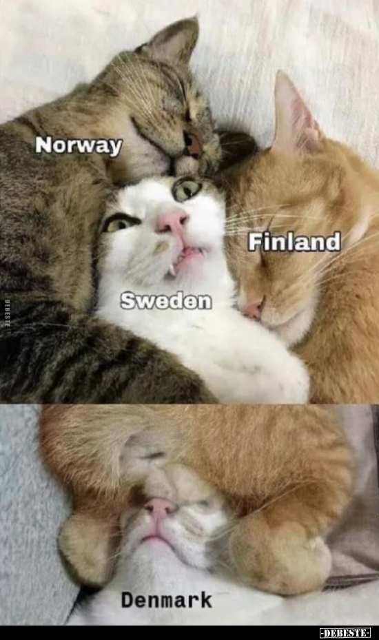  - Lustige Bilder | DEBESTE.de