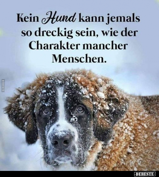 Kein Hund kann jemals so dreckig sein, wie der Charakter.. - Lustige Bilder | DEBESTE.de
