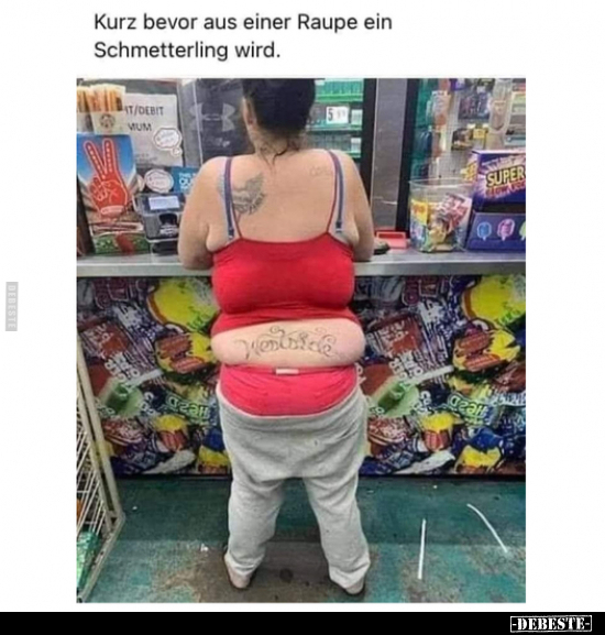 Kurz bevor aus einer Raupe ein Schmetterling wird