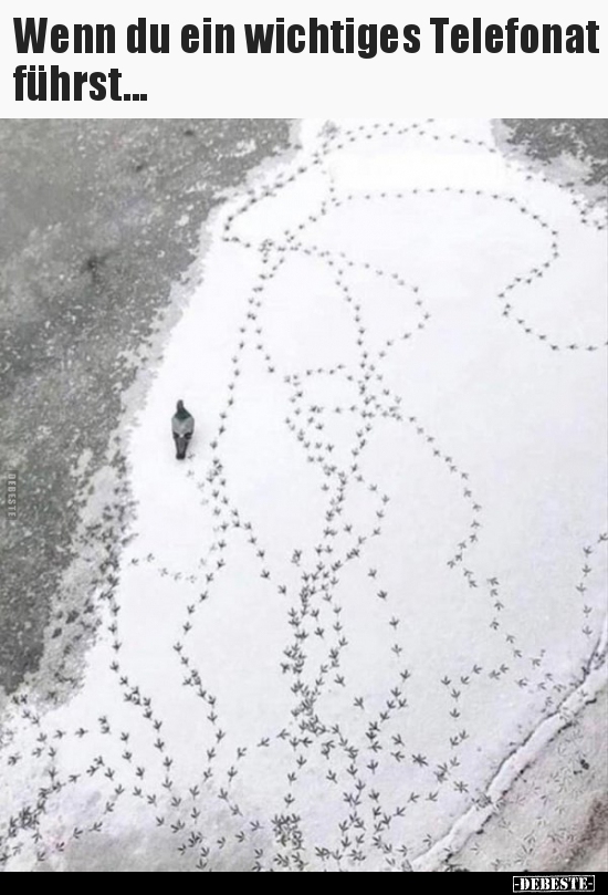 Wenn du ein wichtiges Telefonat führst...