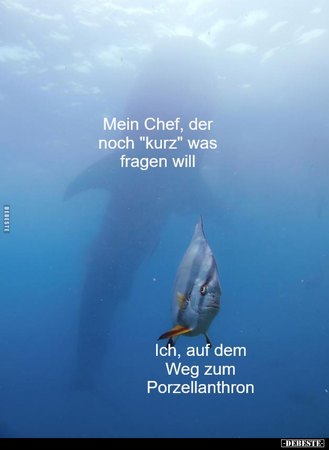 Mein Chef, der
noch "kurz" was
fragen will.
Ich, auf dem
Weg zum
Porzellanthron.
