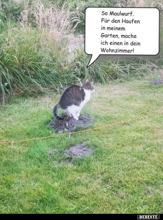 So Maulwurf. Für den Haufen in meinem Garten, mache ich.. - Lustige Bilder | DEBESTE.de