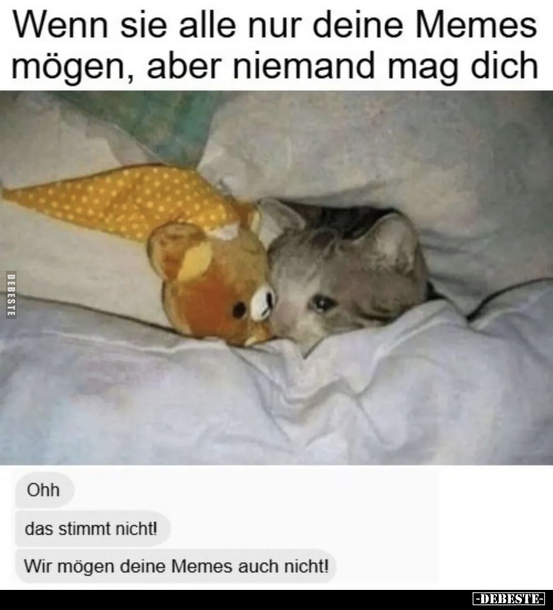 Wenn sie alle nur deine Memes mögen, aber niemand mag dich