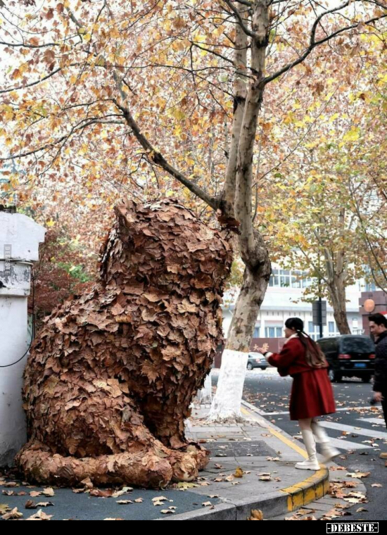  - Lustige Bilder | DEBESTE.de