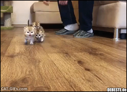 So süß <3 - Lustige Bilder | DEBESTE.de