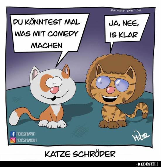 Katze Schröder... - Lustige Bilder | DEBESTE.de