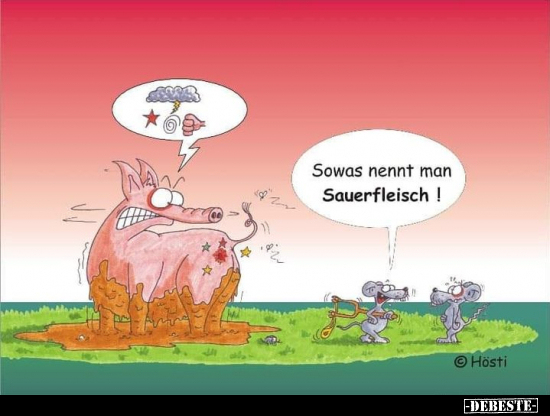 Sowas nennt man Sauerfleisch!.. - Lustige Bilder | DEBESTE.de