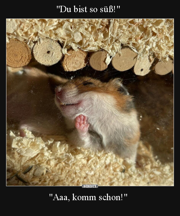 "Du bist so süß!"  "Aaa, komm schon!"