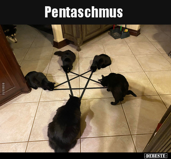 Pentaschmus..