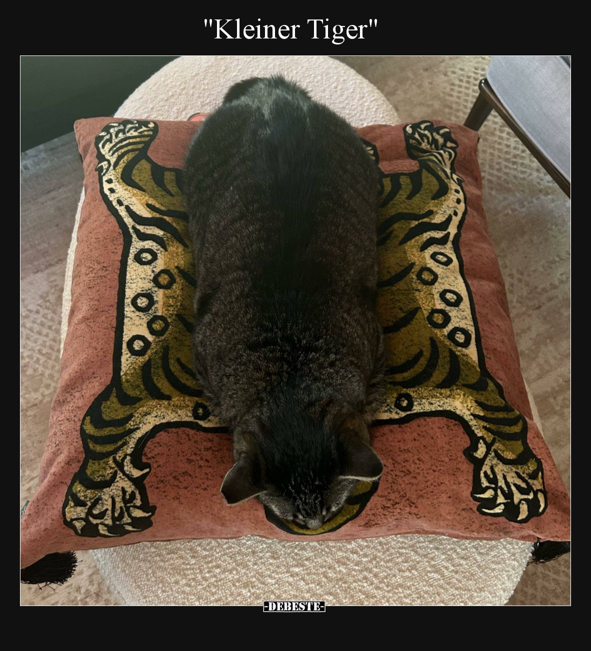 Kleiner Tiger