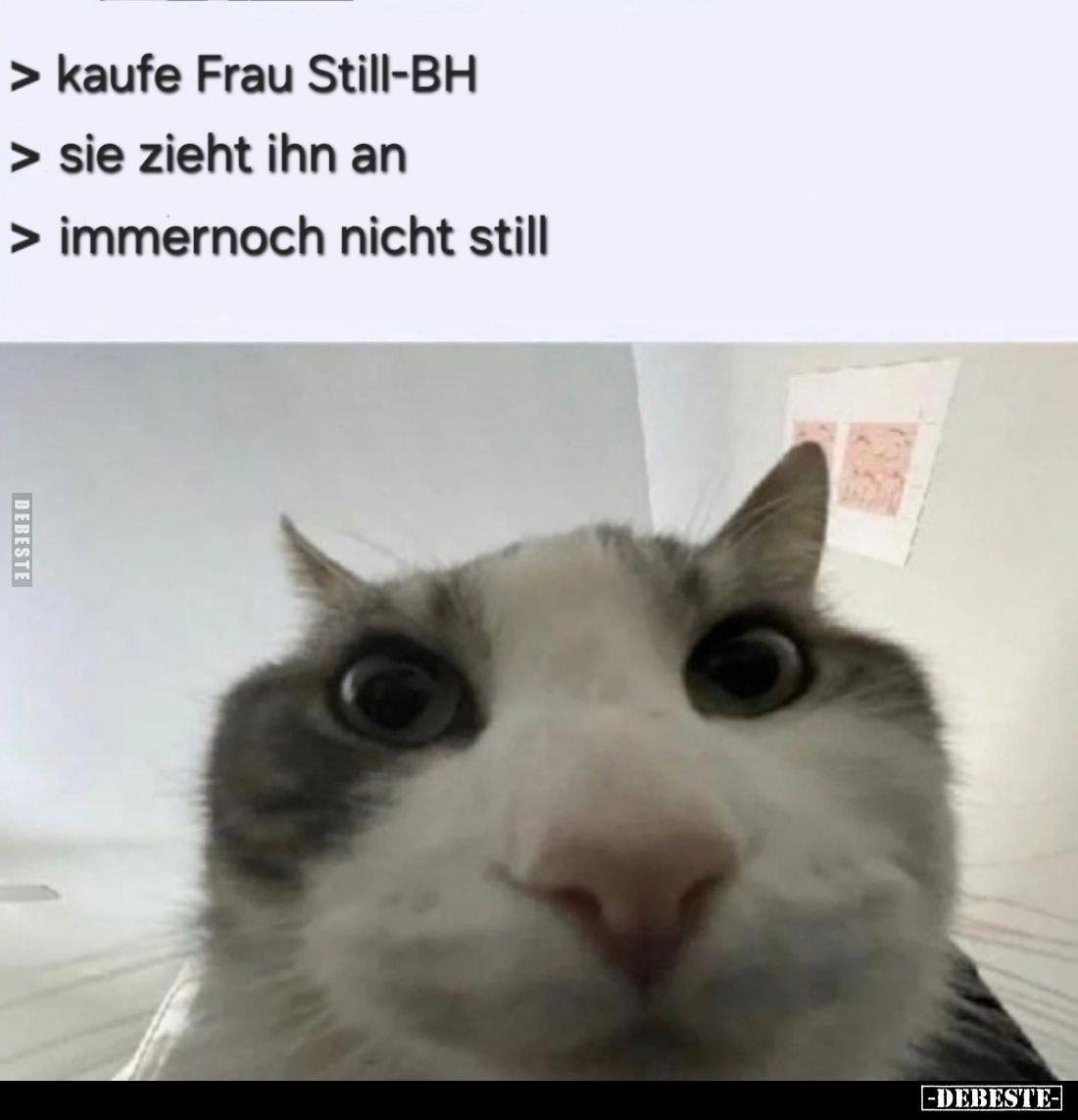  - Lustige Bilder | DEBESTE.de