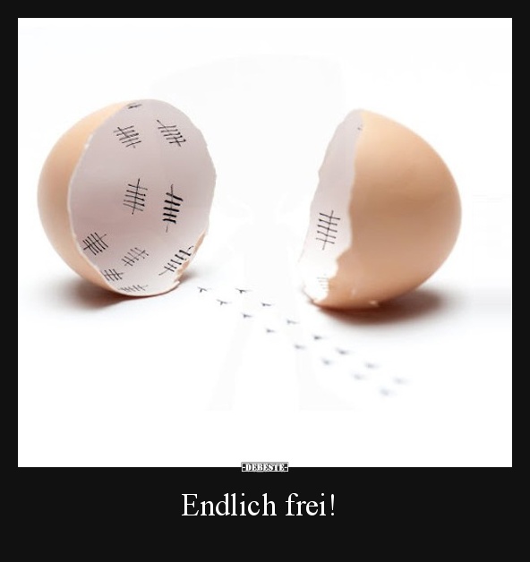 Endlich frei! - Lustige Bilder | DEBESTE.de