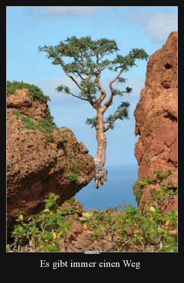 Es gibt immer einen Weg..