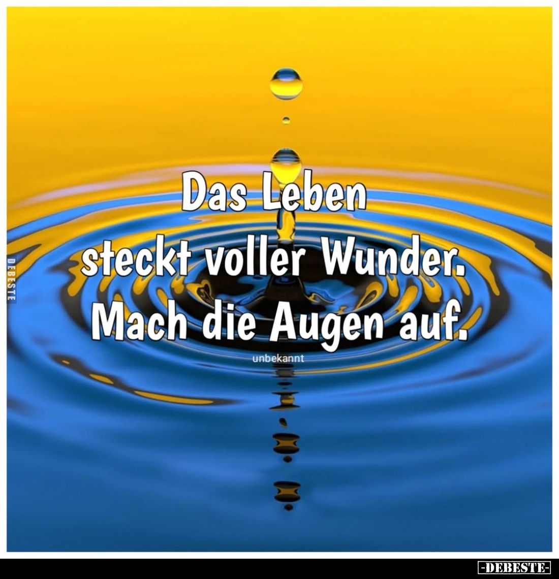 Das Leben steckt voller Wunder. Mach die Augen auf.