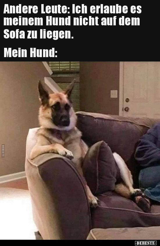 Andere Leute: Ich erlaube es meinem Hund nicht auf dem Sofa.. - Lustige Bilder | DEBESTE.de