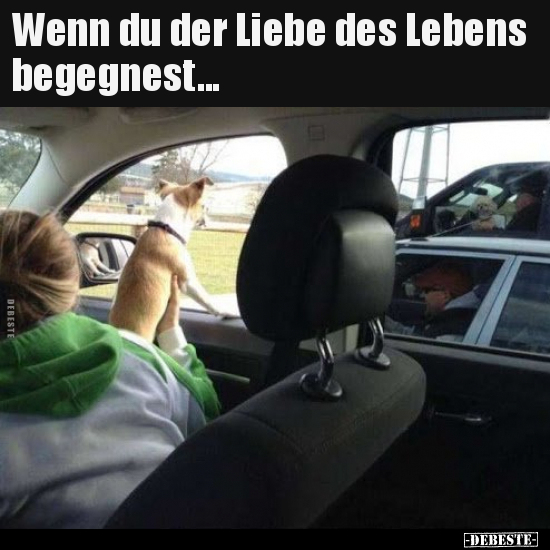 Wenn du der Liebe des Lebens begegnest... - Lustige Bilder | DEBESTE.de