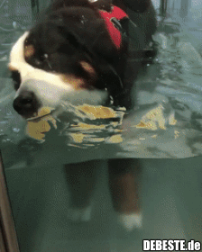 Die richtige Motivation ist der Schlüssel zum Erfolg..