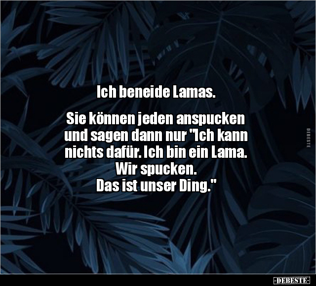 Ich beneide Lamas.. - Lustige Bilder | DEBESTE.de