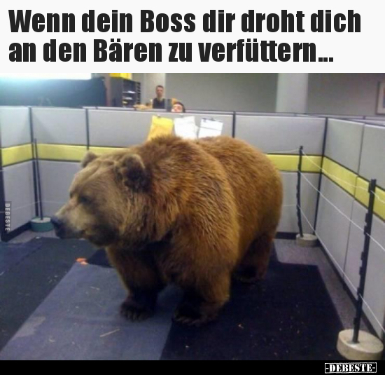 Wenn dein Boss dir droht dich an den Bären zu.. - Lustige Bilder | DEBESTE.de