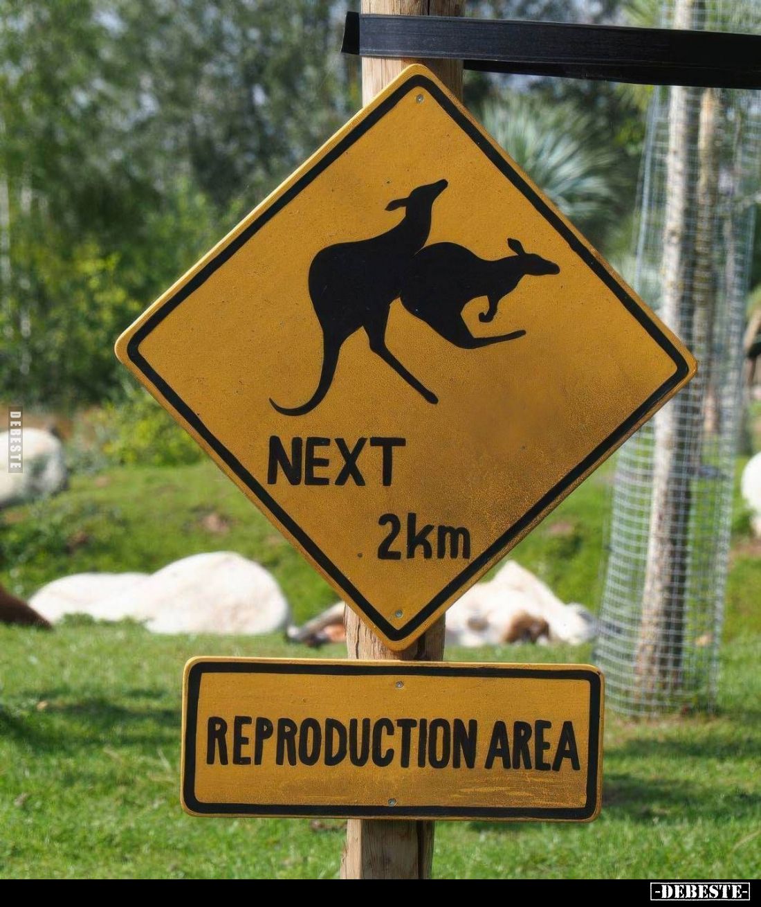REPRODUCTION AREA
