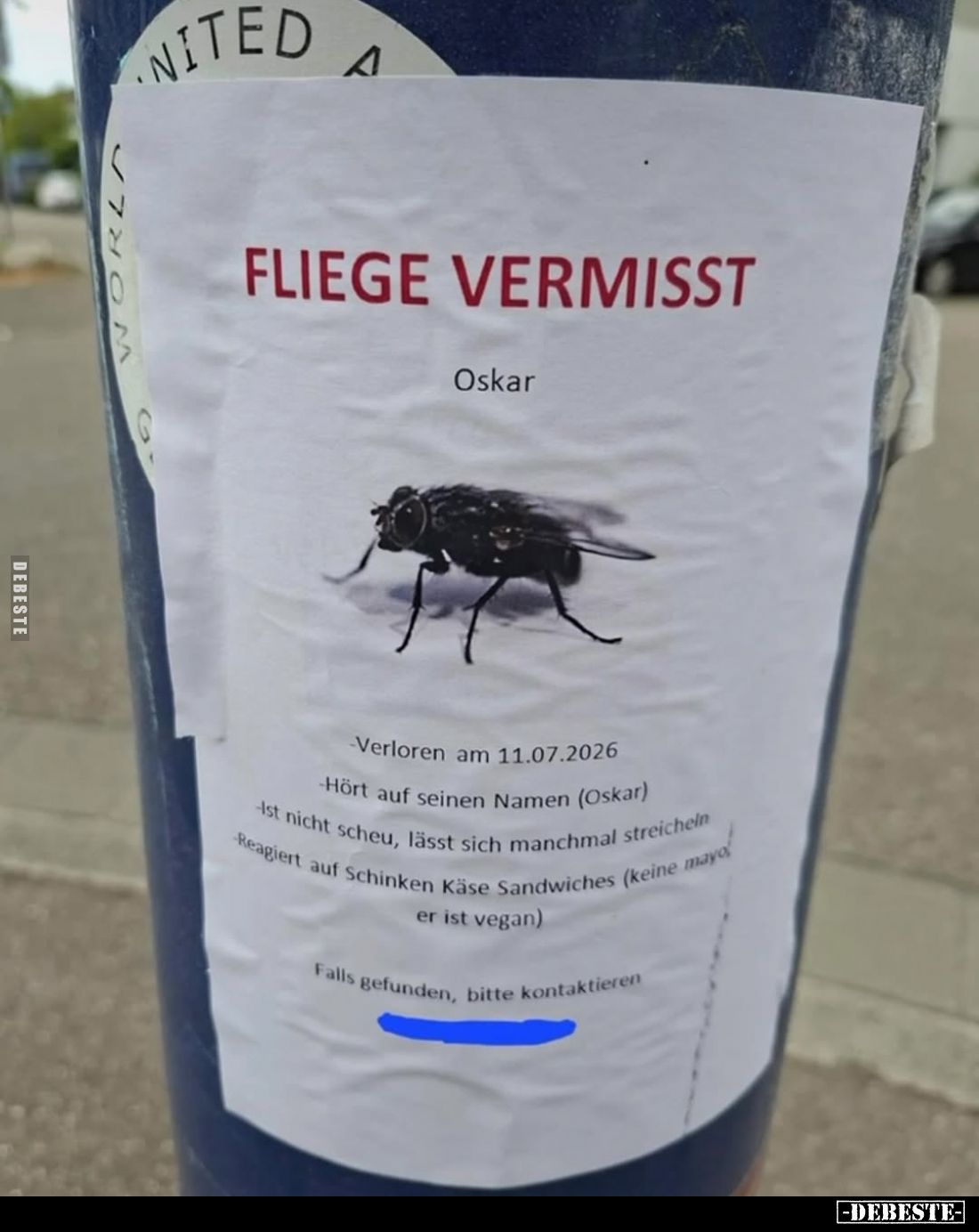 FLIEGE VERMISST
Oskar
-Verloren am 11.07.2026
-Hört auf seinen Namen (Oskar)
-Ist nicht scheu, lässt sich manchmal streic...