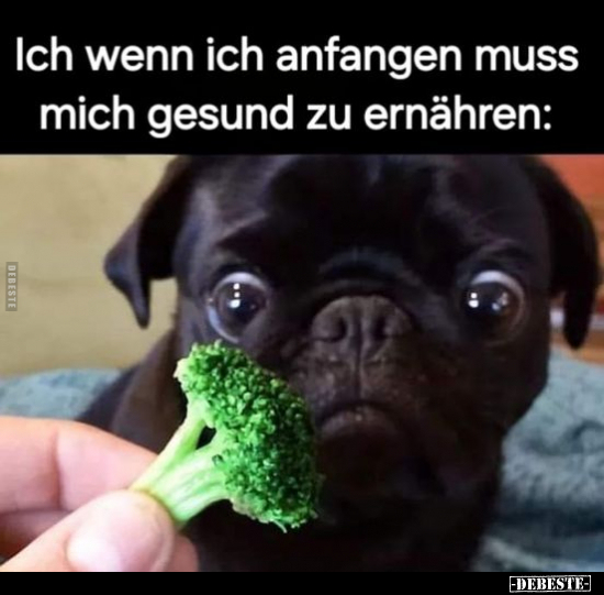 Ich wenn ich anfangen muss mich gesund zu ernähren.. - Lustige Bilder | DEBESTE.de