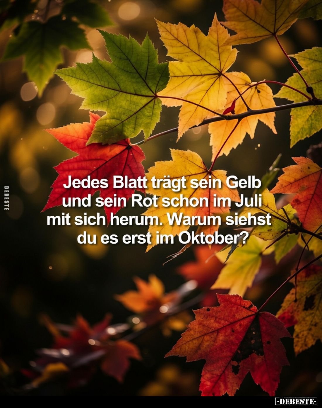 Jedes Blatt trägt sein Gelb
und sein Rot schon im Juli
mit sich herum. Warum siehst
du es erst im Oktober?