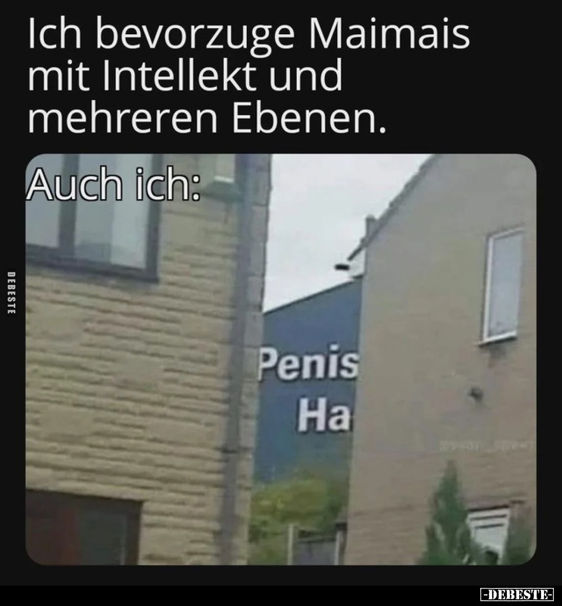 Ich bevorzuge Maimais mit Intellekt und mehreren Ebenen.

Auch ich:

Pe*nis
Ha