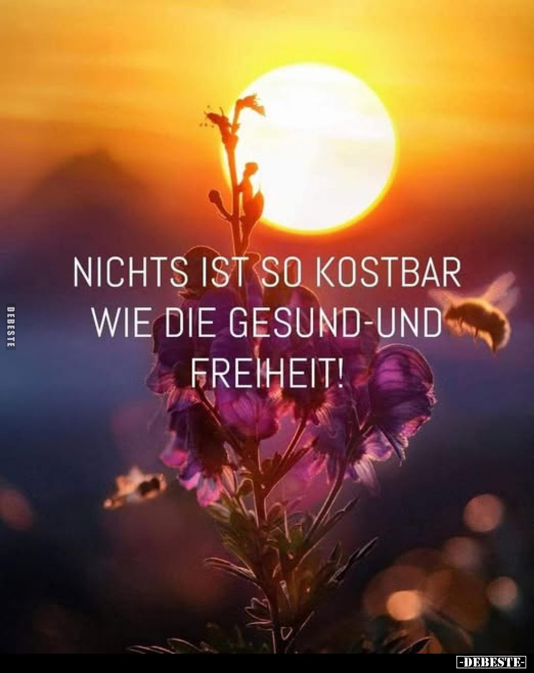 Nichts ist so kostbar wie die Gesund - und Freiheit!