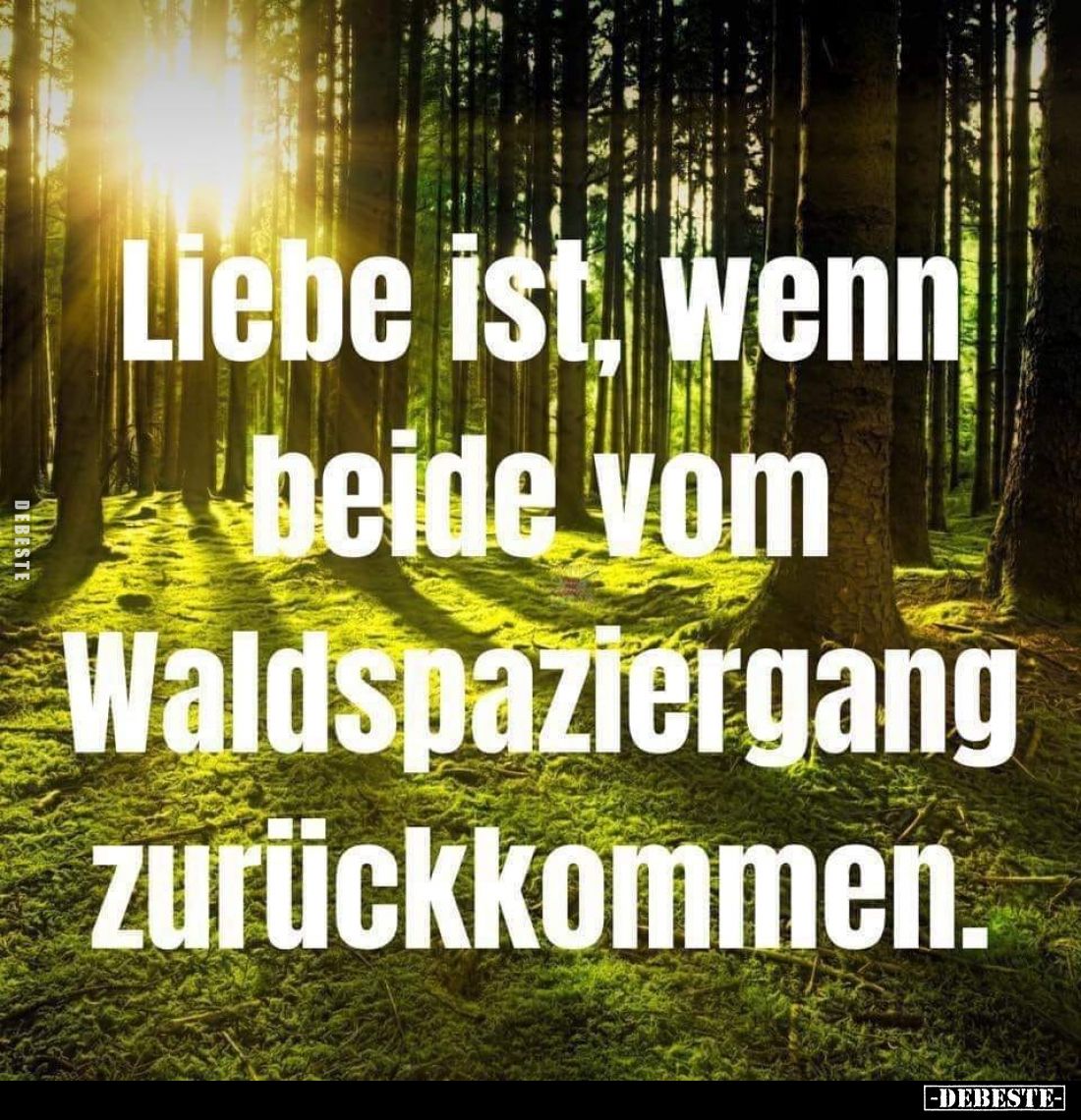 Liebe ist, wenn beide vom Waldspaziergang zurückkommen... - Lustige Bilder | DEBESTE.de
