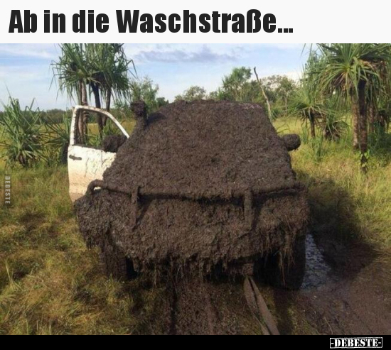 Ab in die Waschstraße...
