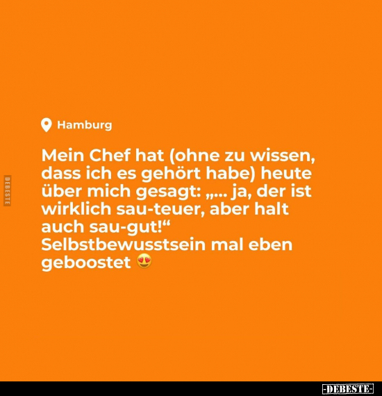 Mein Chef hat (ohne zu wissen, dass ich es gehört habe).. - Lustige Bilder | DEBESTE.de