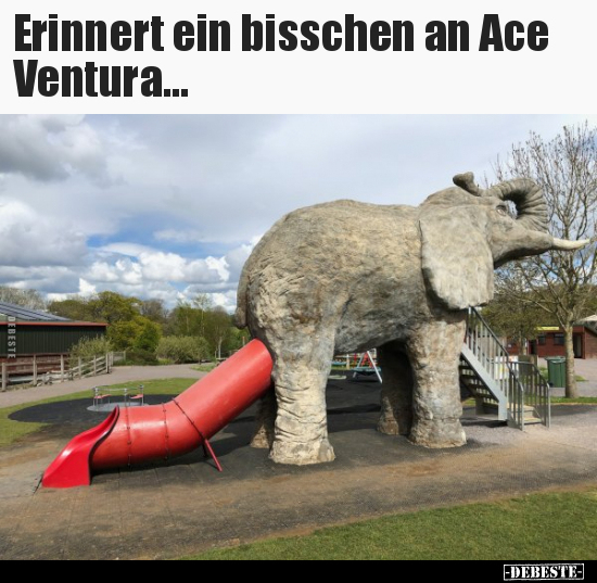 Erinnert ein bisschen an Ace Ventura... - Lustige Bilder | DEBESTE.de