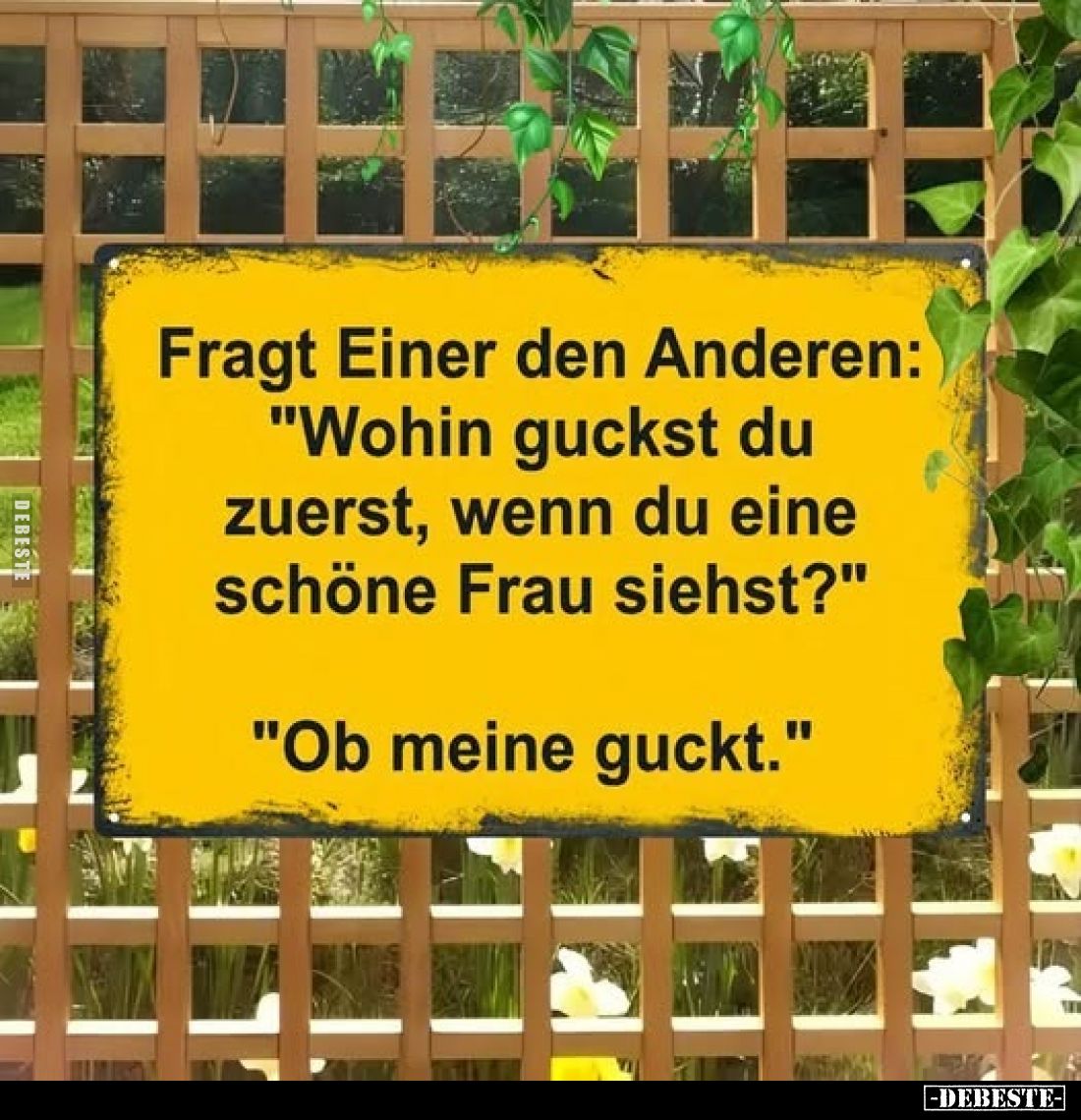 Fragt Einer den Anderen: "Wohin guckst du zuerst, wenn du eine schöne Frau siehst?" -
"Ob meine guckt."