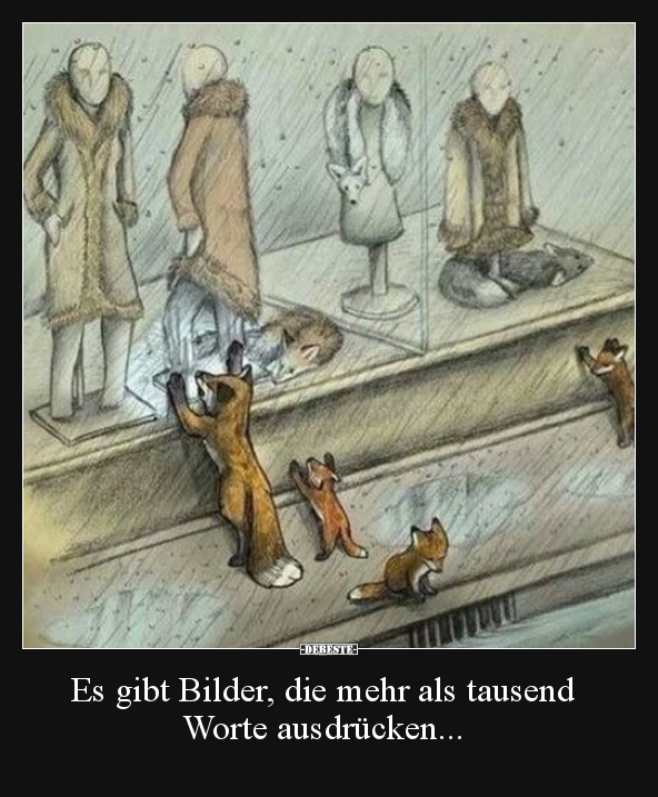 Es gibt Bilder, die mehr als tausend Worte ausdrücken...