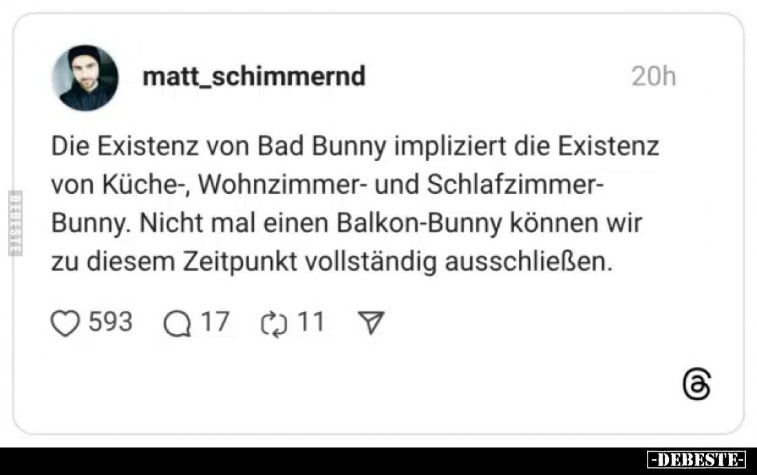 Die Existenz von Bad Bunny impliziert die Existenz von Küche-, Wohnzimmer- und Schlafzimmer-Bunny. Nicht mal einen Balkon-Bun...