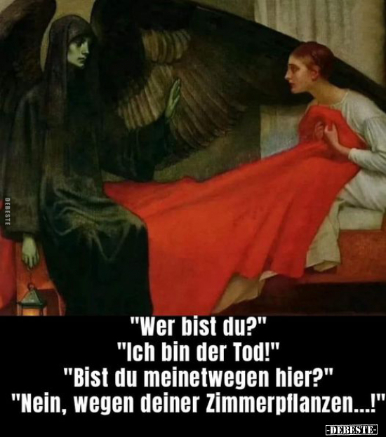 "Wer bist du?".. - Lustige Bilder | DEBESTE.de